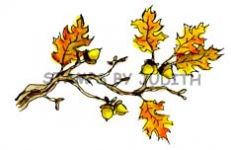 I-194-HK Oak Leaf Branch